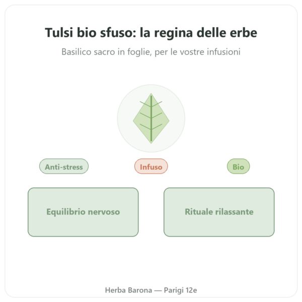 Tulsi bio sfuso – busta da 100 g – Ayur-vana presentazione Paris Herba Barona