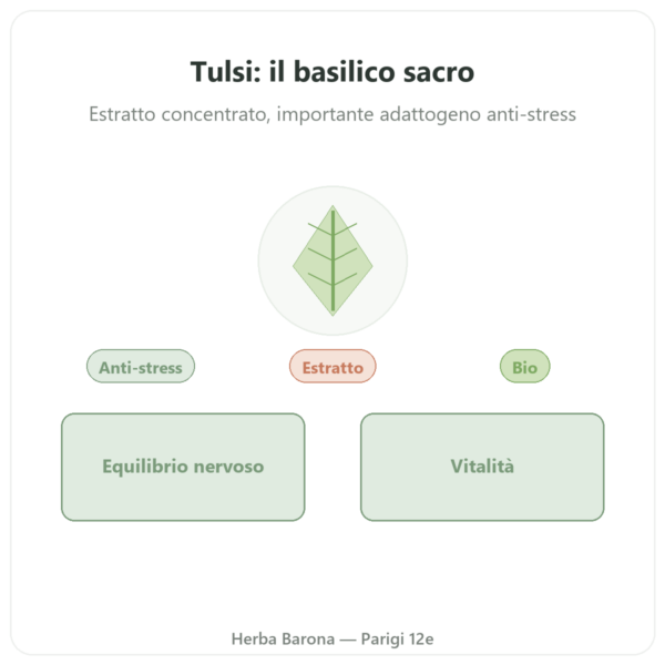 Tulsi Estratto Bio (basilico sacro) 60 capsule Ayur-vana presentazione Paris Herba Barona