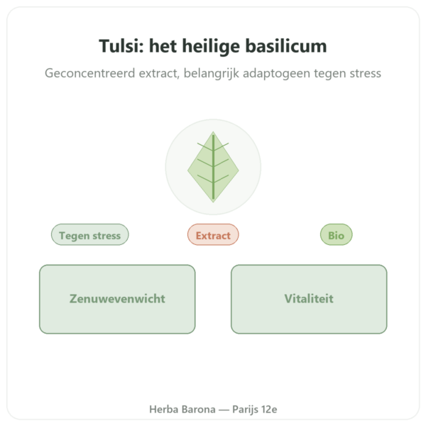 Tulsi Extract Bio (heilige basilicum) 60 capsules Ayur-vana presentatie Paris Herba Barona