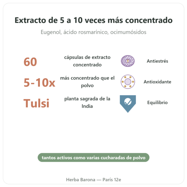 Tulsi Extracto Bio (Albahaca Sagrada) – Ayur-vana – 60 Cápsulas beneficios y datos clave Paris Herba Barona