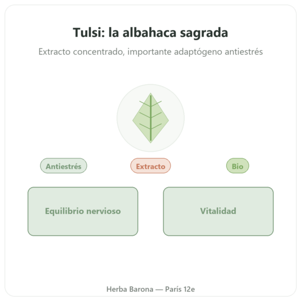 Tulsi Extracto Bio (Albahaca Sagrada) – Ayur-vana – 60 Cápsulas presentación Paris Herba Barona