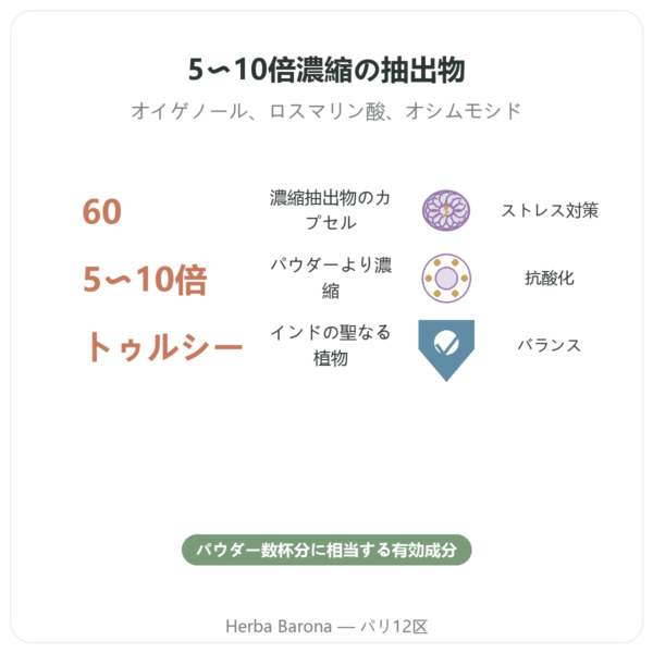 トゥルシー エキス BIO(ホーリーバジル)60カプセル Ayur-vana benefits and key facts Paris Herba Barona