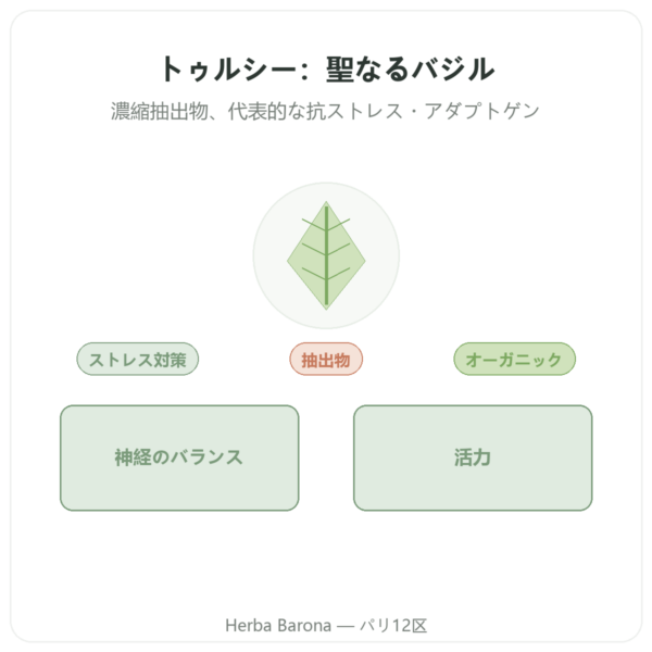 トゥルシー エキス BIO(ホーリーバジル)60カプセル Ayur-vana presentation Paris Herba Barona