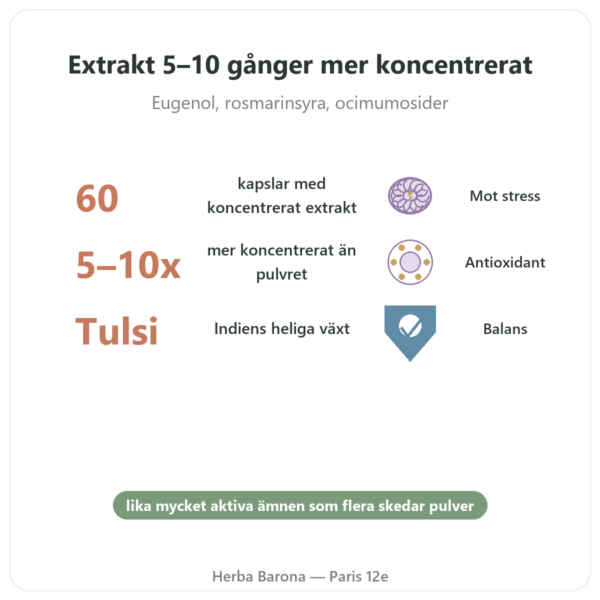 Tulsi Extrakt Bio (heligt basilika) 60 kapslar Ayur-vana fördelar och nyckelfakta Paris Herba Barona