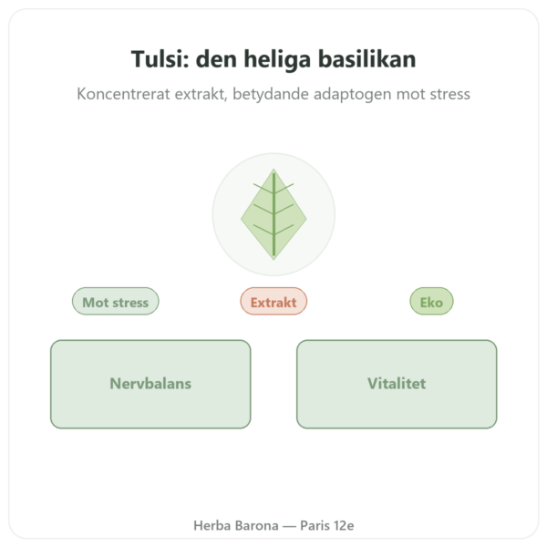 Tulsi Extrakt Bio (heligt basilika) 60 kapslar Ayur-vana presentation Paris Herba Barona