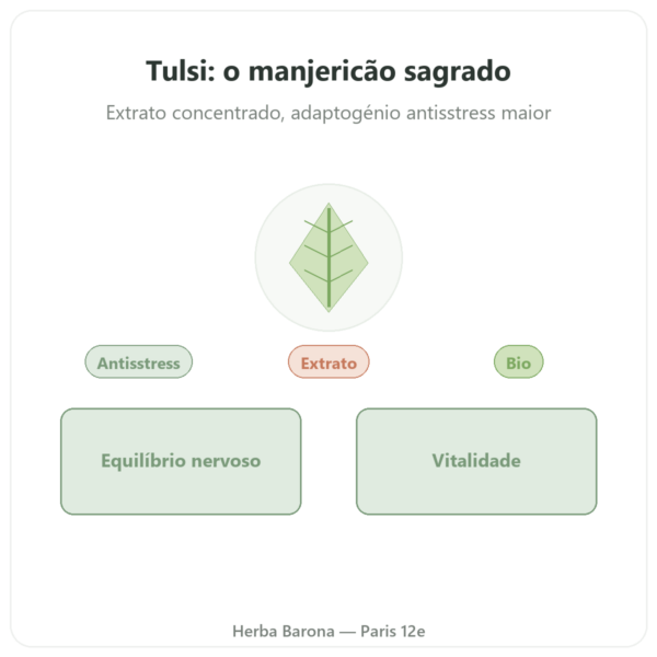 Tulsi Extrato Bio (Basílico Sagrado) – Ayur-vana – 60 cápsulas apresentação Paris Herba Barona