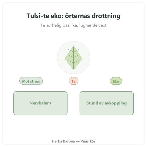 Tulsi Örtte Ekologisk 25 påsar Ayur-vana presentation Paris Herba Barona