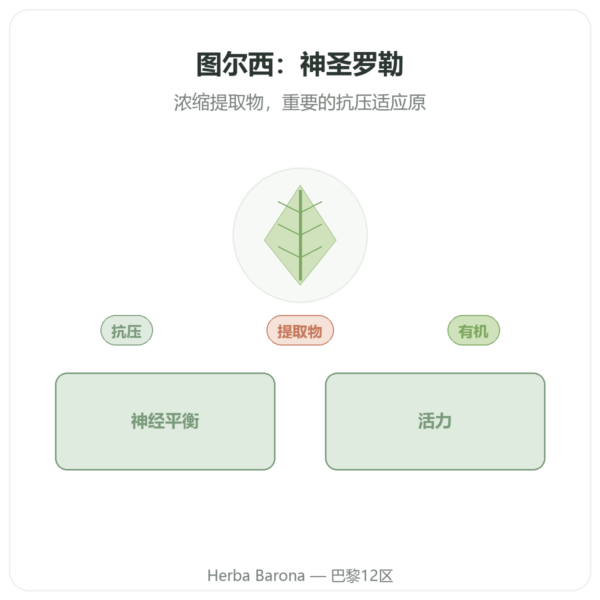 有机图尔西提取物(圣罗勒)60 粒胶囊 Ayur-vana 产品展示 Paris Herba Barona