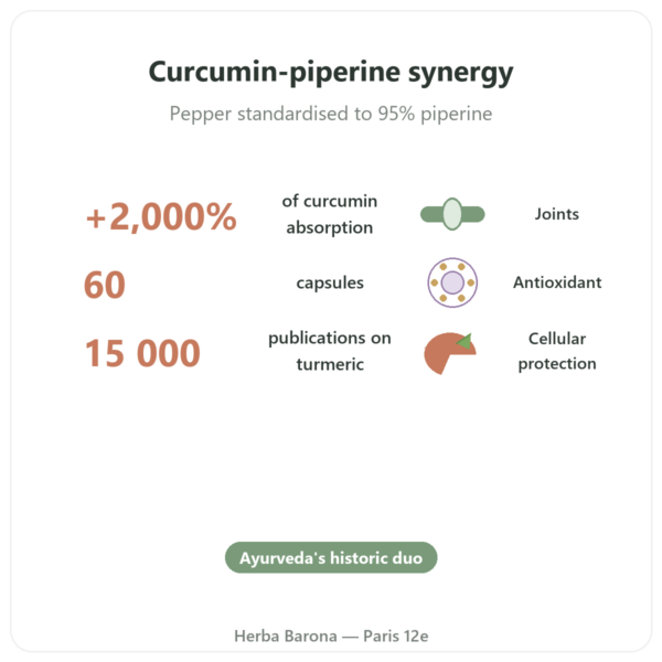 Turmeric & Black Pepper - Ayur-vana - 60 capsules benefits and key facts Paris Herba Barona
