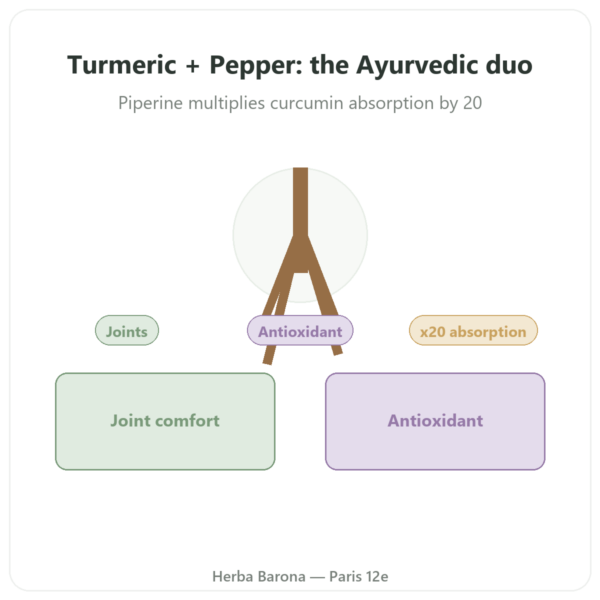 Turmeric & Black Pepper - Ayur-vana - 60 capsules presentation Paris Herba Barona