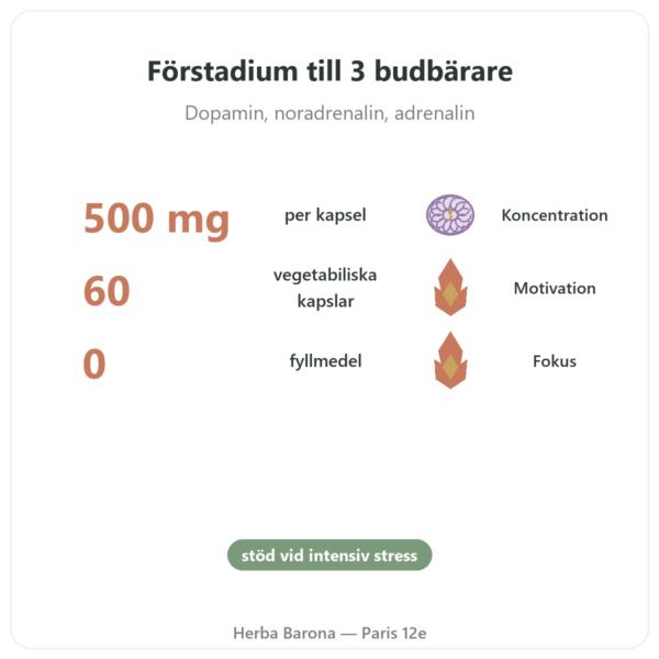 L-Tyrosin 500 mg – Dynveo – 60 kapslar fördelar och nyckelfakta Paris Herba Barona