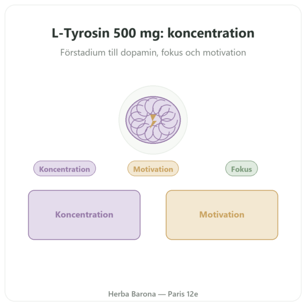 L-Tyrosin 500 mg – Dynveo – 60 kapslar presentation Paris Herba Barona