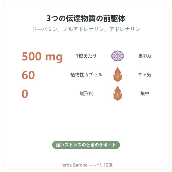 L-チロシン 500 mg – Dynveo – 60カプセル benefits and key facts Paris Herba Barona