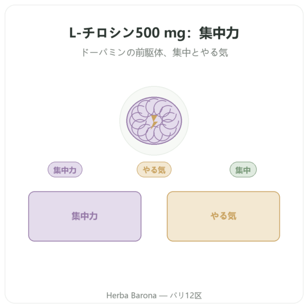 L-チロシン 500 mg – Dynveo – 60カプセル presentation Paris Herba Barona
