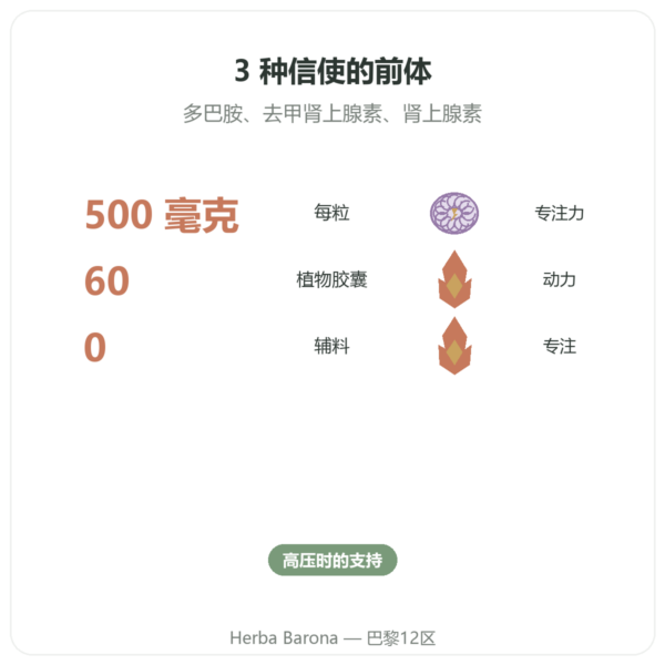 L-酪氨酸 500 mg – Dynveo – 60粒胶囊 功效与数据 Paris Herba Barona