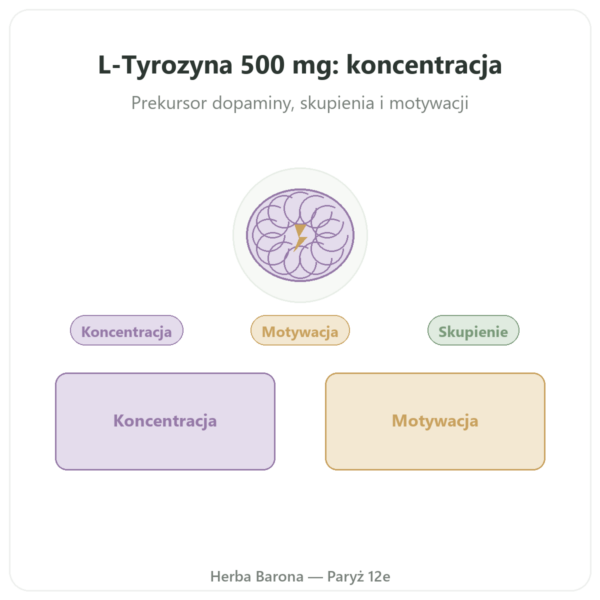 L-Tyrozyna 500 mg – Dynveo – 60 kapsułek prezentacja Paris Herba Barona