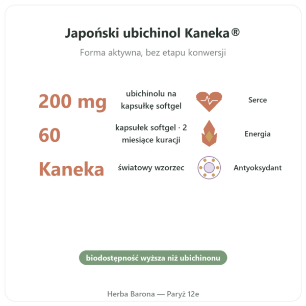 Ubichinol Kaneka 200 mg – Now Foods – 60 softgeli korzyści i najważniejsze fakty Paris Herba Barona
