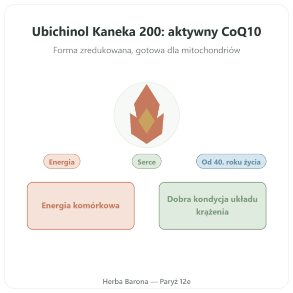 Ubichinol Kaneka 200 mg – Now Foods – 60 softgeli prezentacja Paris Herba Barona