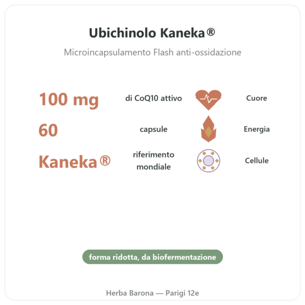 Ubichinolo 100 mg CoQ10 – 60 capsule – Dynveo benefici e dati chiave Paris Herba Barona