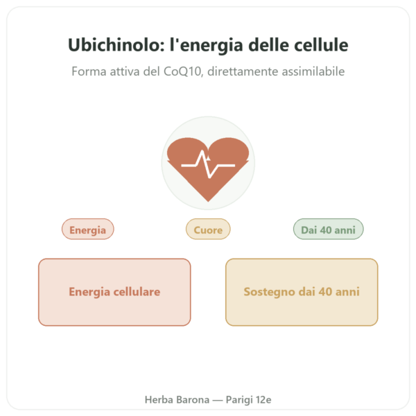 Ubichinolo 100 mg CoQ10 – 60 capsule – Dynveo presentazione Paris Herba Barona