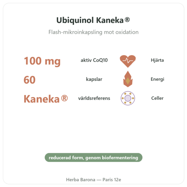 Ubiquinol 100 mg CoQ10 – 60 kapslar – Dynveo fördelar och nyckelfakta Paris Herba Barona