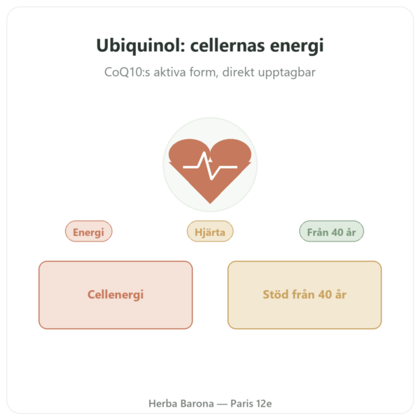 Ubiquinol 100 mg CoQ10 – 60 kapslar – Dynveo presentation Paris Herba Barona