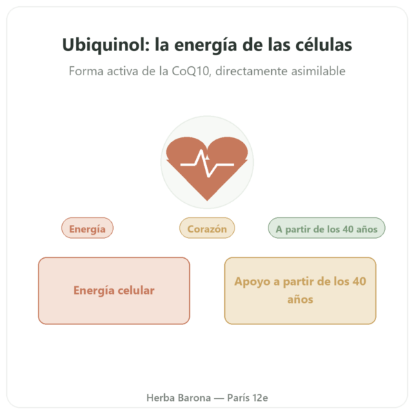 Ubiquinol 100 mg CoQ10 – 60 cápsulas – Dynveo presentación Paris Herba Barona