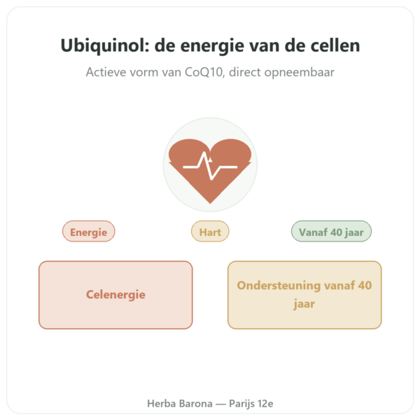 Ubiquinol 100 mg CoQ10 – 60 capsules – Dynveo presentatie Paris Herba Barona