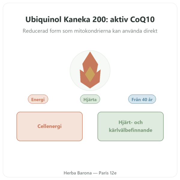 Ubiquinol Kaneka 200 mg – Now Foods – 60 mjuka kapslar presentation Paris Herba Barona