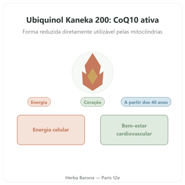 Ubiquinol Kaneka 200 mg – Now Foods – 60 softgels apresentação Paris Herba Barona