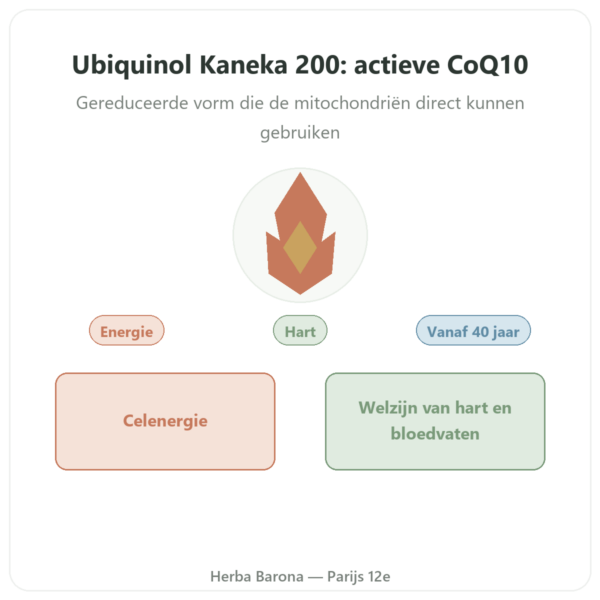 Ubiquinol Kaneka 200 mg – Now Foods – 60 softgels presentatie Paris Herba Barona