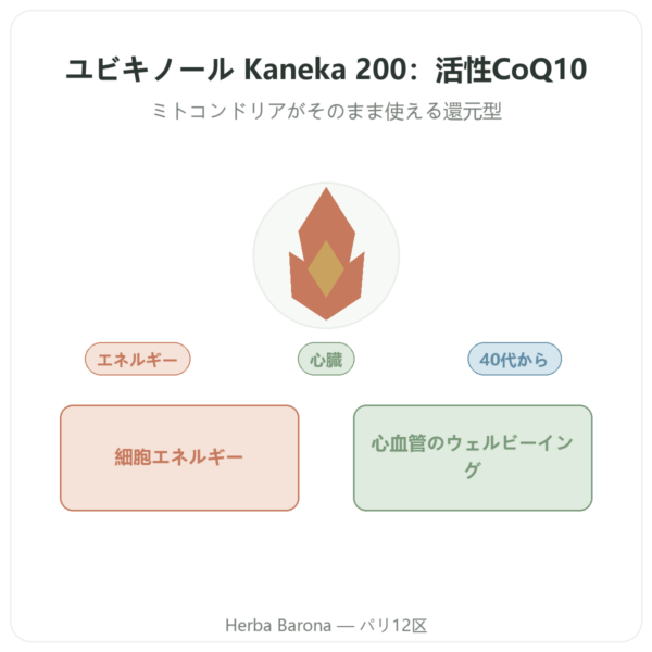 ユビキノール Kaneka 200 mg – Now Foods – 60ソフトジェル presentation Paris Herba Barona