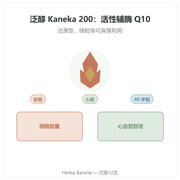 Ubiquinol Kaneka 200毫克 – Now Foods – 60粒软胶囊 产品展示 Paris Herba Barona