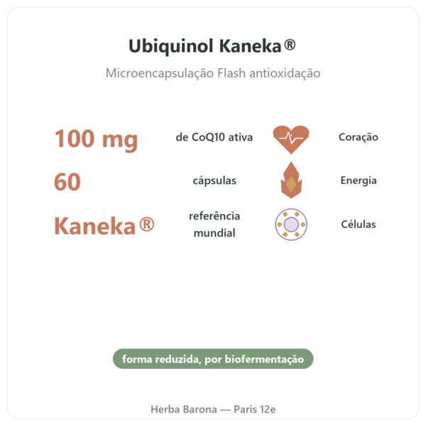 Ubiquinol 100 mg CoQ10 – 60 cápsulas – Dynveo benefícios e dados principais Paris Herba Barona