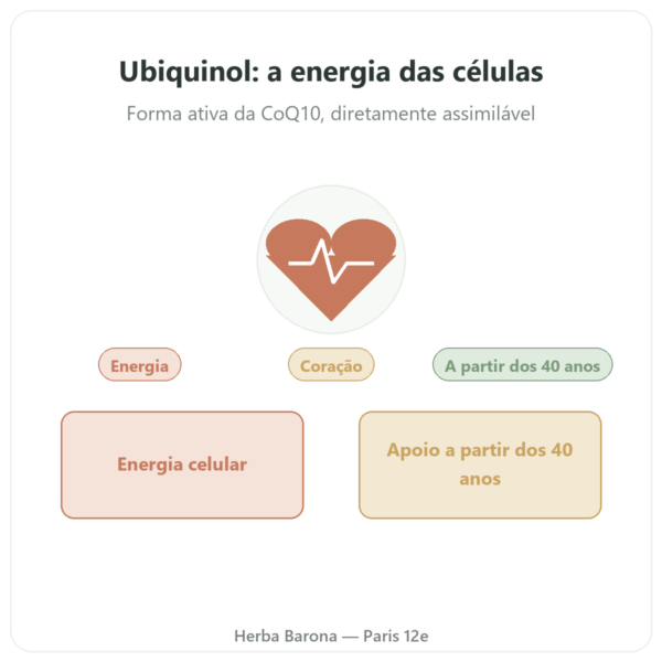 Ubiquinol 100 mg CoQ10 – 60 cápsulas – Dynveo apresentação Paris Herba Barona