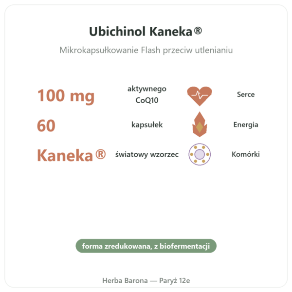 Ubiquinol 100 mg CoQ10 – 60 kapsułek – Dynveo korzyści i najważniejsze fakty Paris Herba Barona