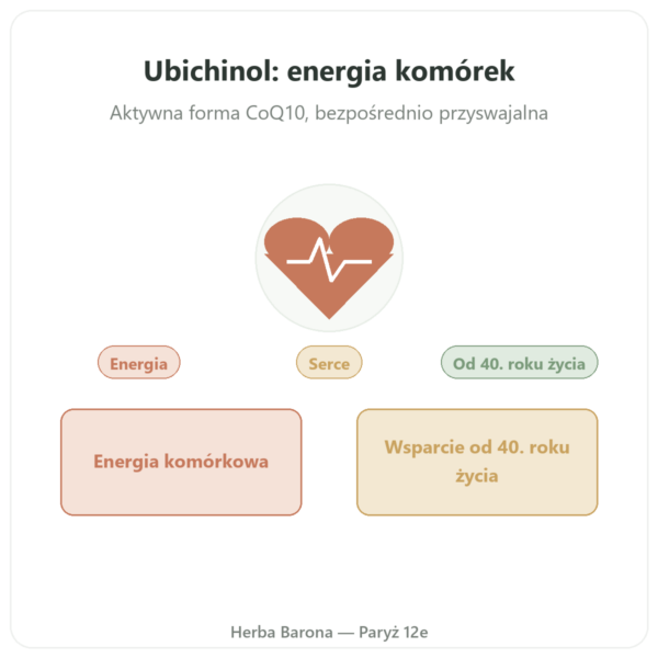Ubiquinol 100 mg CoQ10 – 60 kapsułek – Dynveo prezentacja Paris Herba Barona