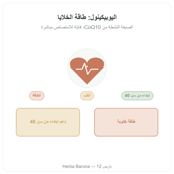 يوبيكينول 100 ملغ CoQ10 – 60 كبسولة – Dynveo عرض المنتج Paris Herba Barona