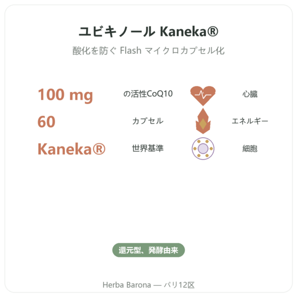 ユビキノール 100 mg CoQ10 – 60カプセル – Dynveo benefits and key facts Paris Herba Barona