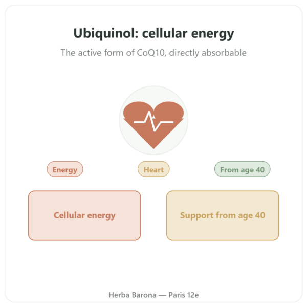 Ubiquinol Kaneka 100 mg CoQ10 - Dynveo - 60 Capsules presentation Paris Herba Barona