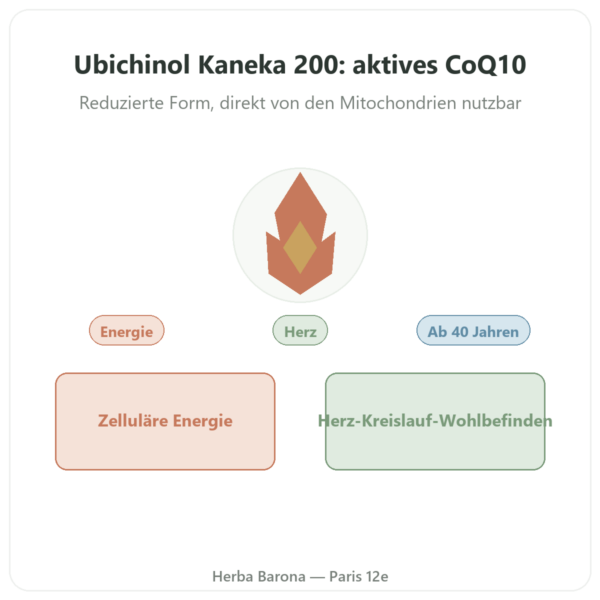 Ubiquinol Kaneka 200 mg – Now Foods – 60 Softgele Vorstellung Paris Herba Barona