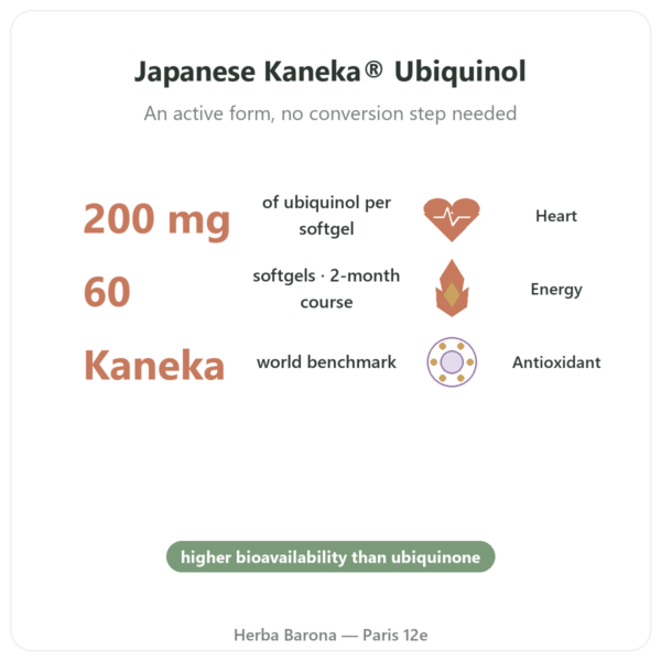 Ubiquinol Kaneka 200 mg – Now Foods – 60 Softgels benefits and key facts Paris Herba Barona