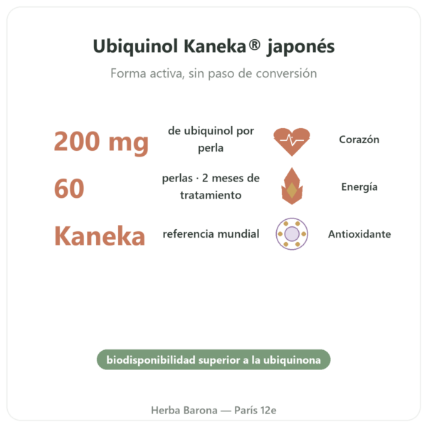 Ubiquinol Kaneka 200 mg – NOW Foods – 60 Softgels beneficios y datos clave Paris Herba Barona