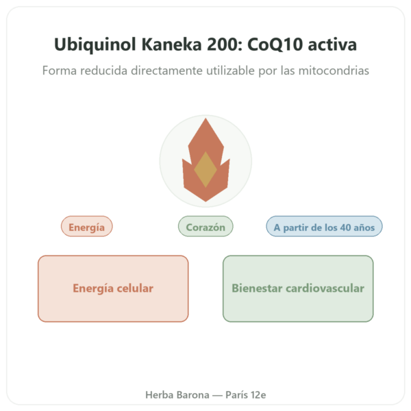 Ubiquinol Kaneka 200 mg – NOW Foods – 60 Softgels presentación Paris Herba Barona