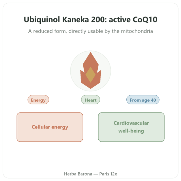 Ubiquinol Kaneka 200 mg – Now Foods – 60 Softgels presentation Paris Herba Barona