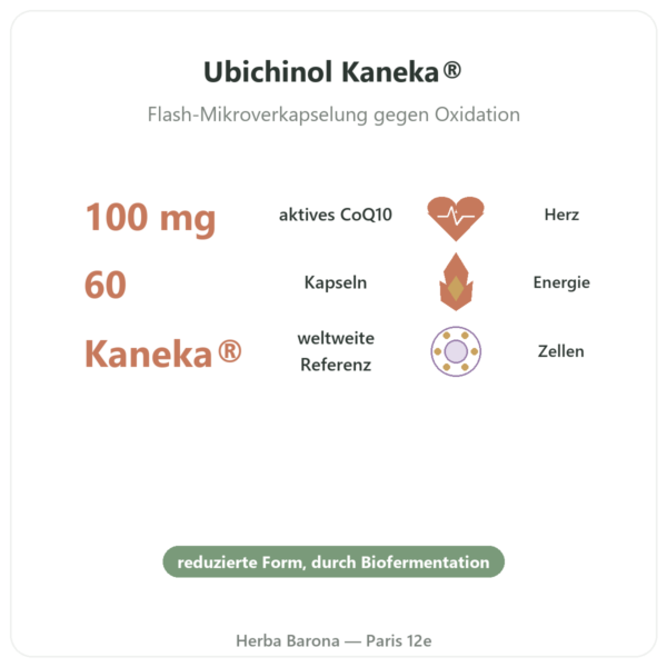 Ubiquinol Kaneka® CoQ10 – Dynveo – 100 mg – 60 Kapseln Vorteile und Fakten Paris Herba Barona
