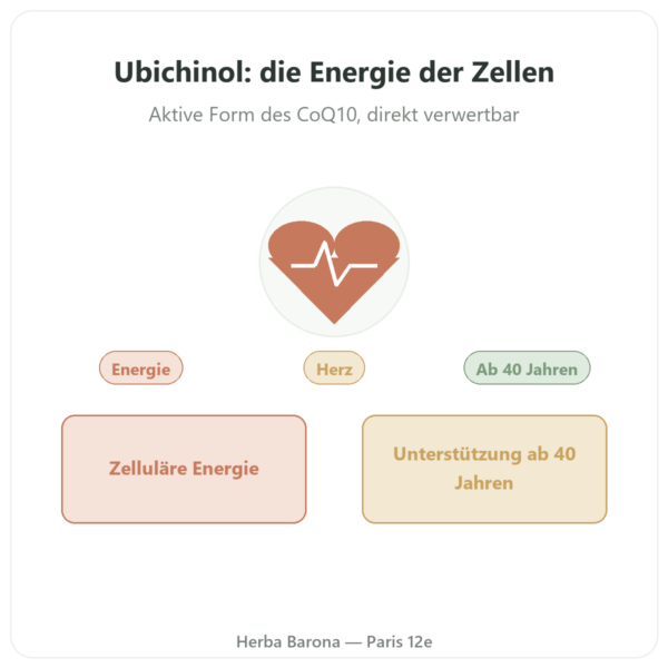 Ubiquinol Kaneka® CoQ10 – Dynveo – 100 mg – 60 Kapseln Vorstellung Paris Herba Barona