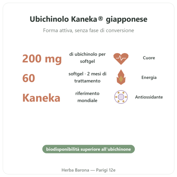 Ubiquinolo Kaneka 200 mg – NOW Foods – 60 Softgel benefici e dati chiave Paris Herba Barona