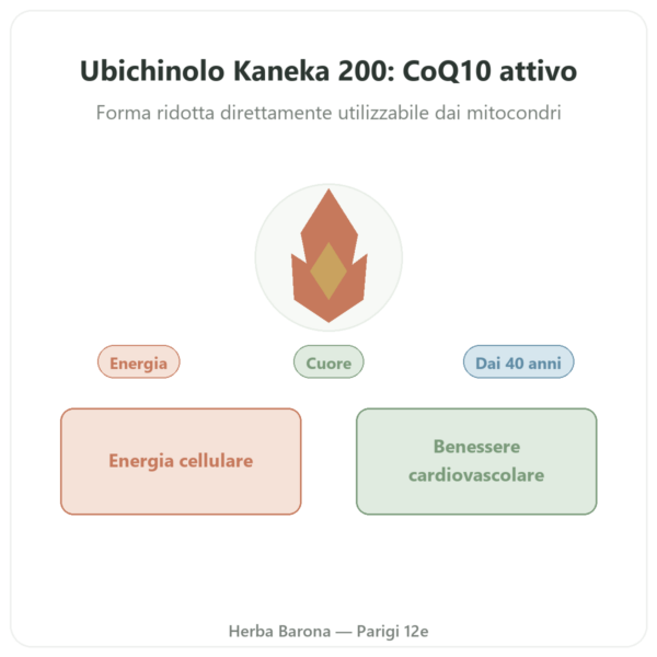 Ubiquinolo Kaneka 200 mg – NOW Foods – 60 Softgel presentazione Paris Herba Barona