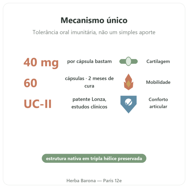 UC-II Colagénio Tipo 2 – NOW Foods – 60 cápsulas benefícios e dados principais Paris Herba Barona